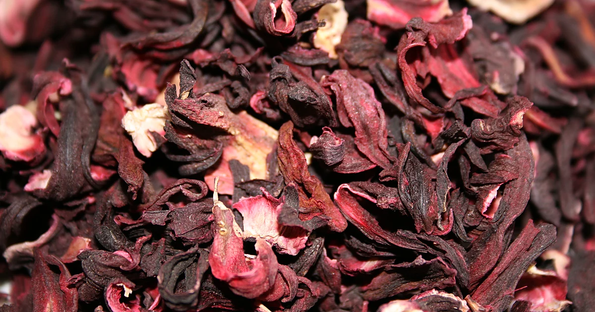 Suszony hibiskus — zioła na nadciśnienie