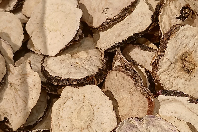 Maca