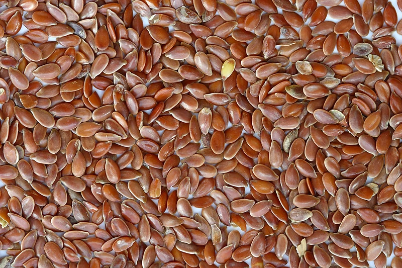Linum usitatissimum
